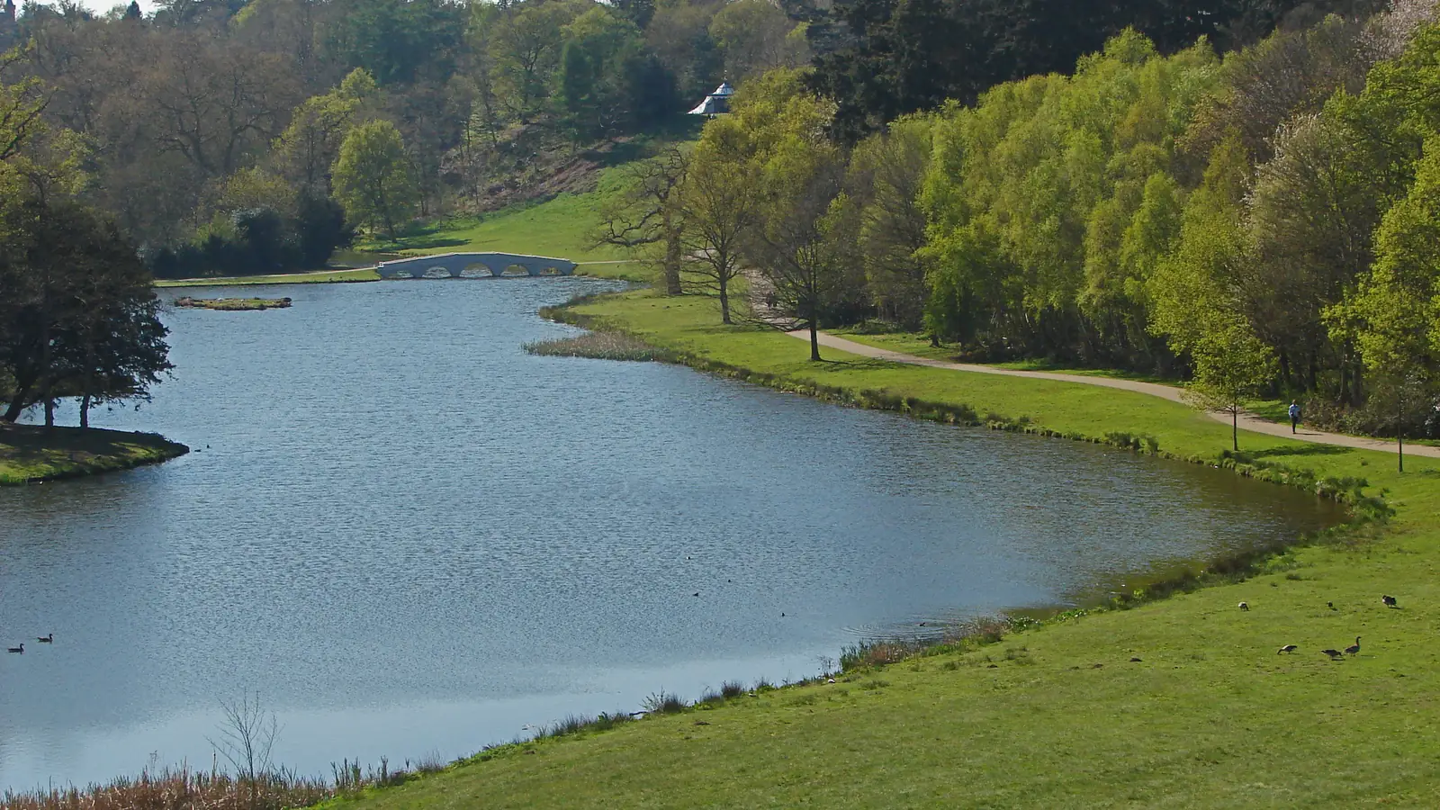 The lake and the Chinese bridge at Painshill Park, Surrey