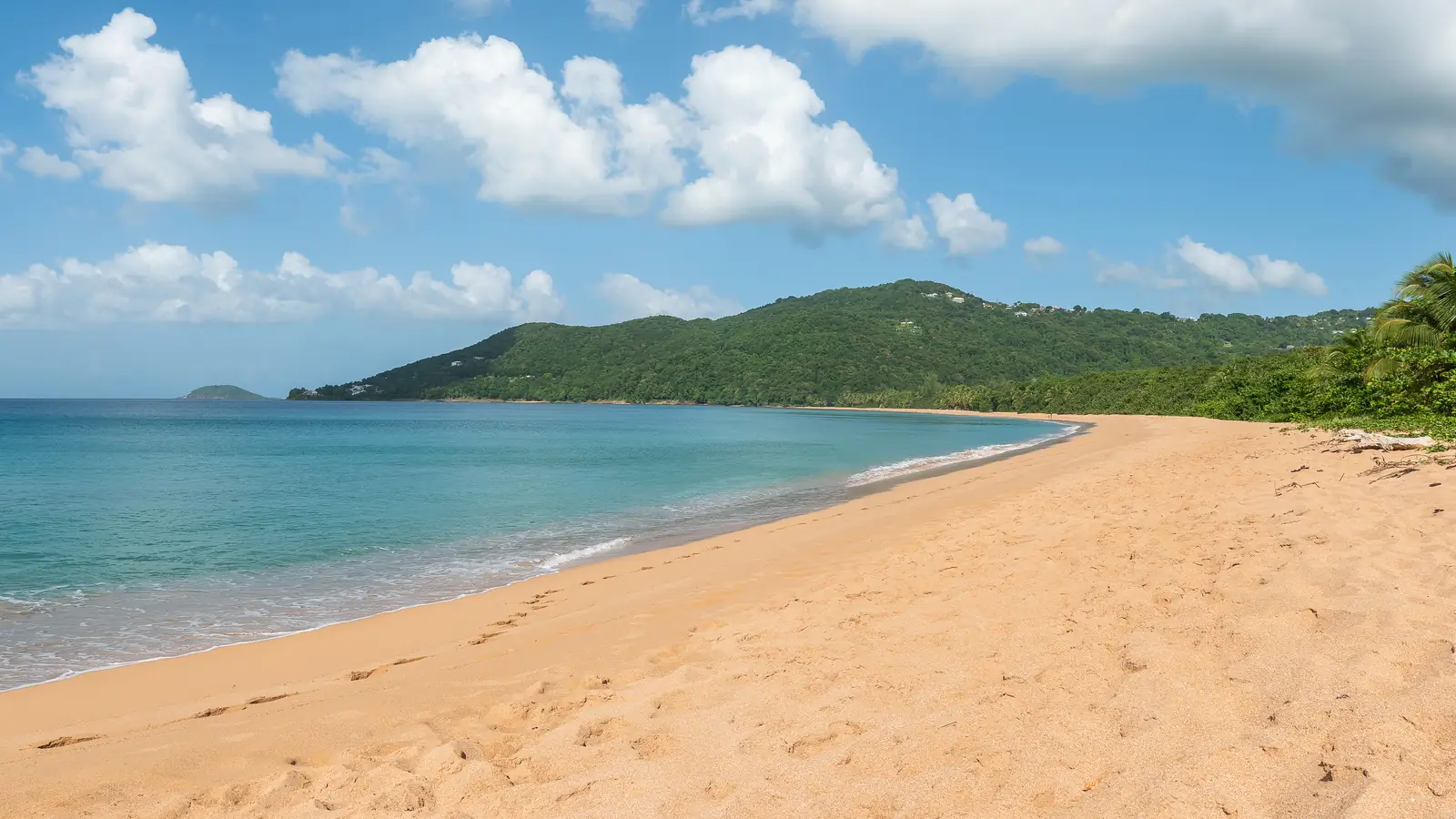 Plage de Grande-Anse with its palms and golden sand – the beach in countless scenes of Death in Paradise.