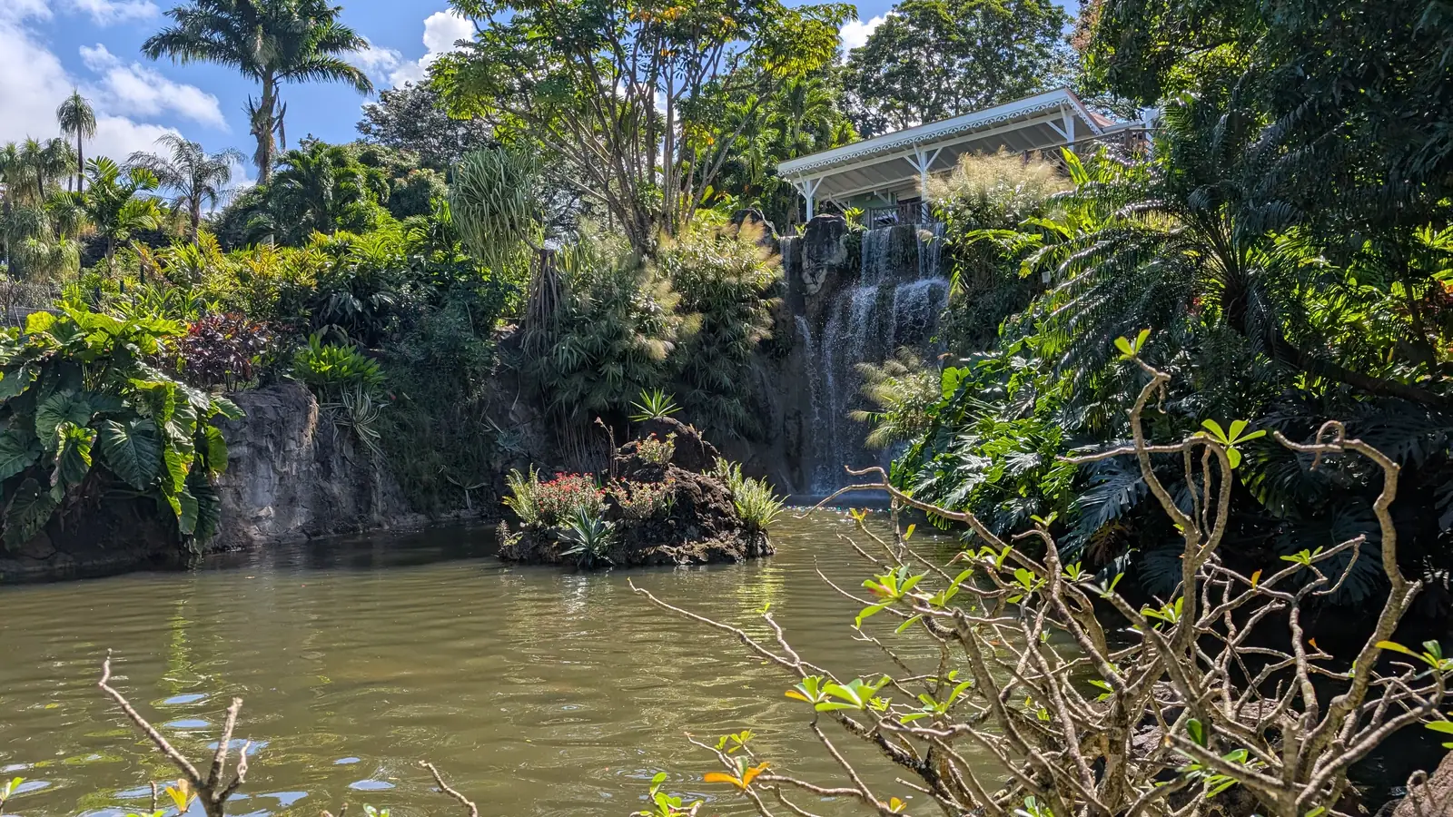 Pond and tropical planting in the Jardin botanique de Deshaies – the garden where Richard Poole died in Death in Paradise.