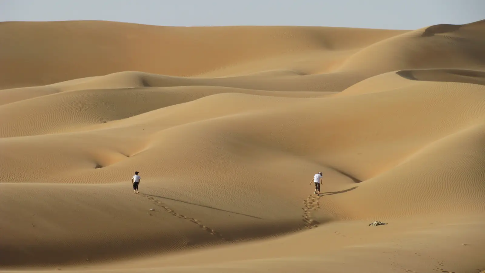 The dunes of the Empty Quarter near Liwa, Abu Dhabi, the sand seas of Arrakis