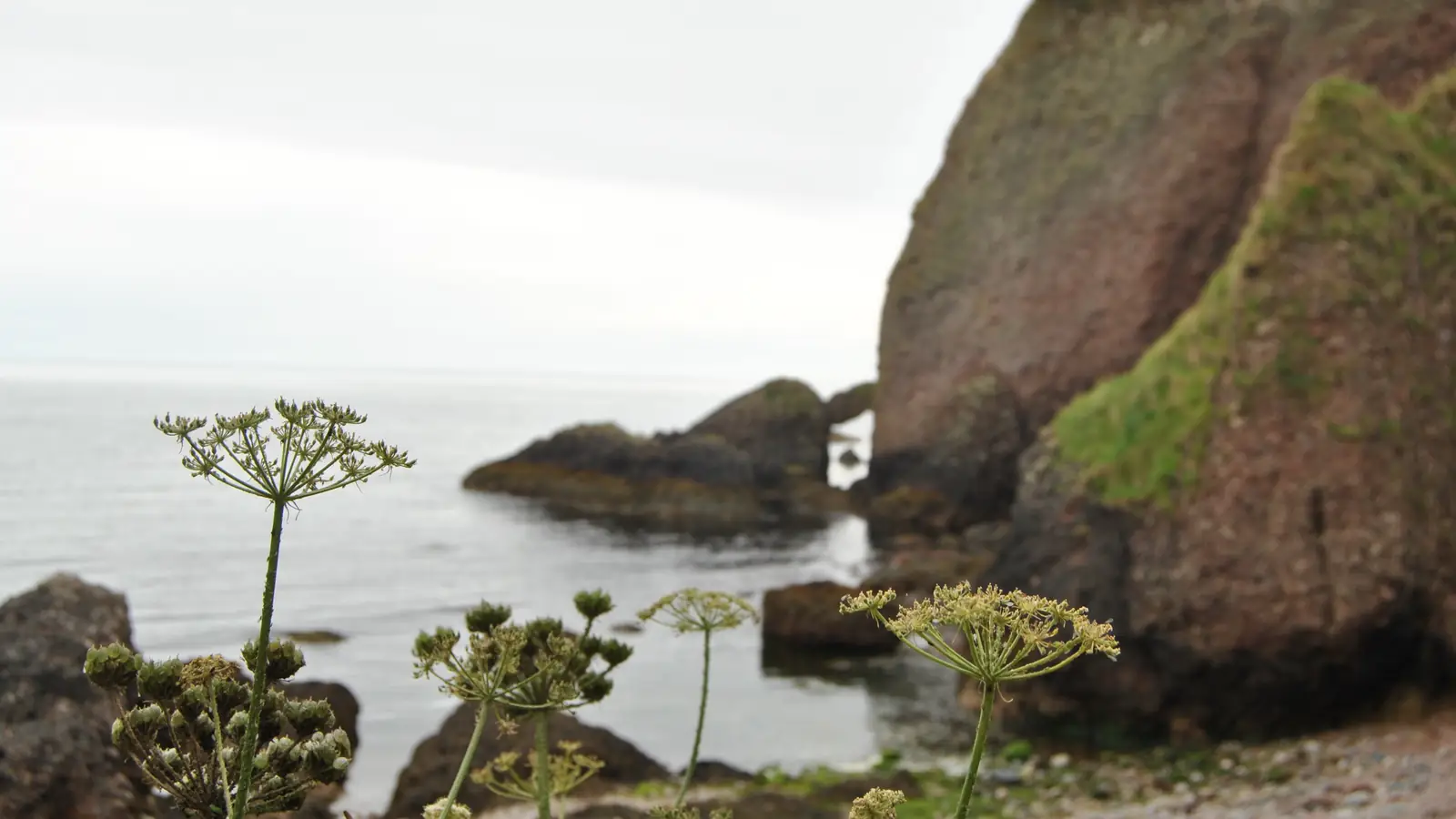 The rocky shore at Cushendun – the Stormlands cove in Game of Thrones
