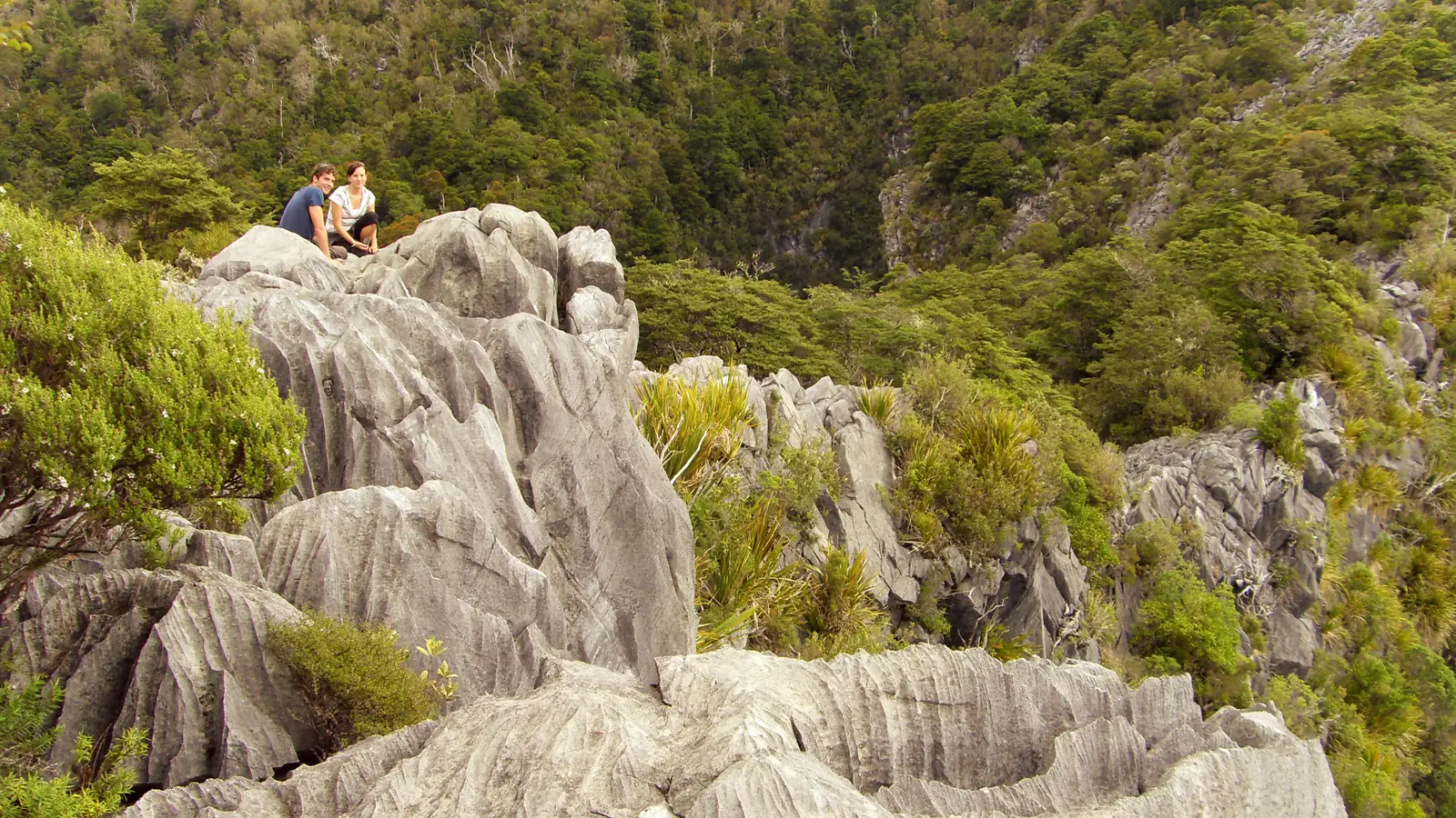 Marble outcrops and tussock at Canaan Downs on Takaka Hill – the company's ride out of the Shire