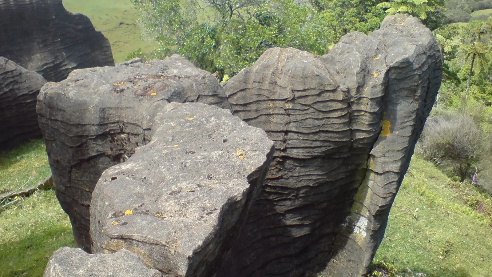 Weathered limestone outcrops in the King Country farmland around Piopio – the same rock that forms the Trollshaws at Denize Bluffs, a few valleys away on private land