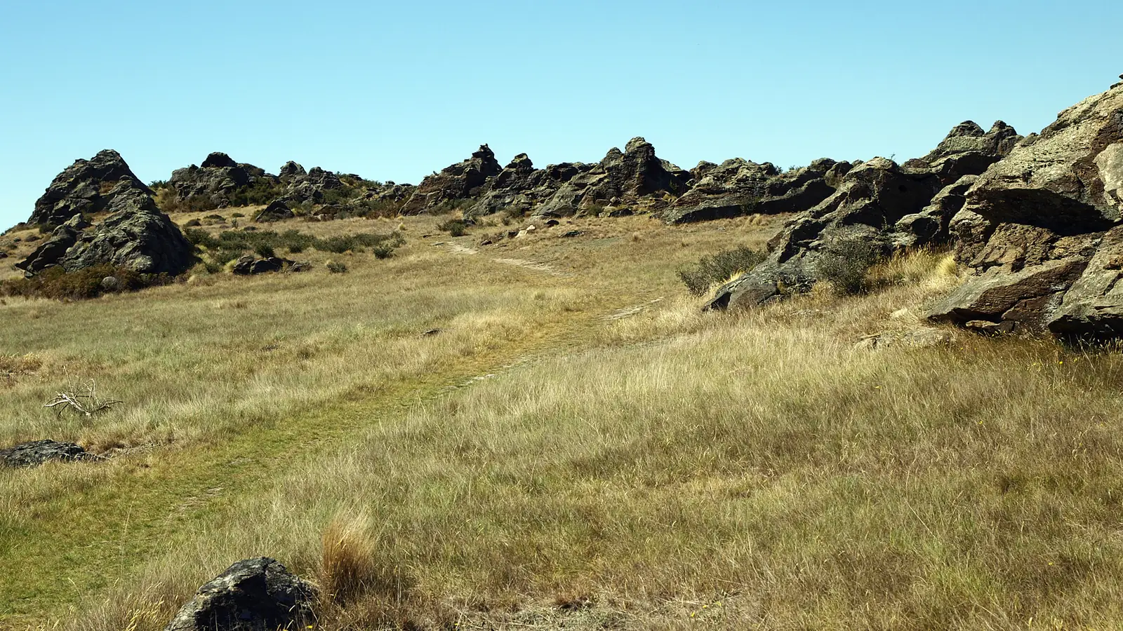 Schist tors on the Rock and Pillar Range above the Strath Taieri valley near Middlemarch – the warg chase