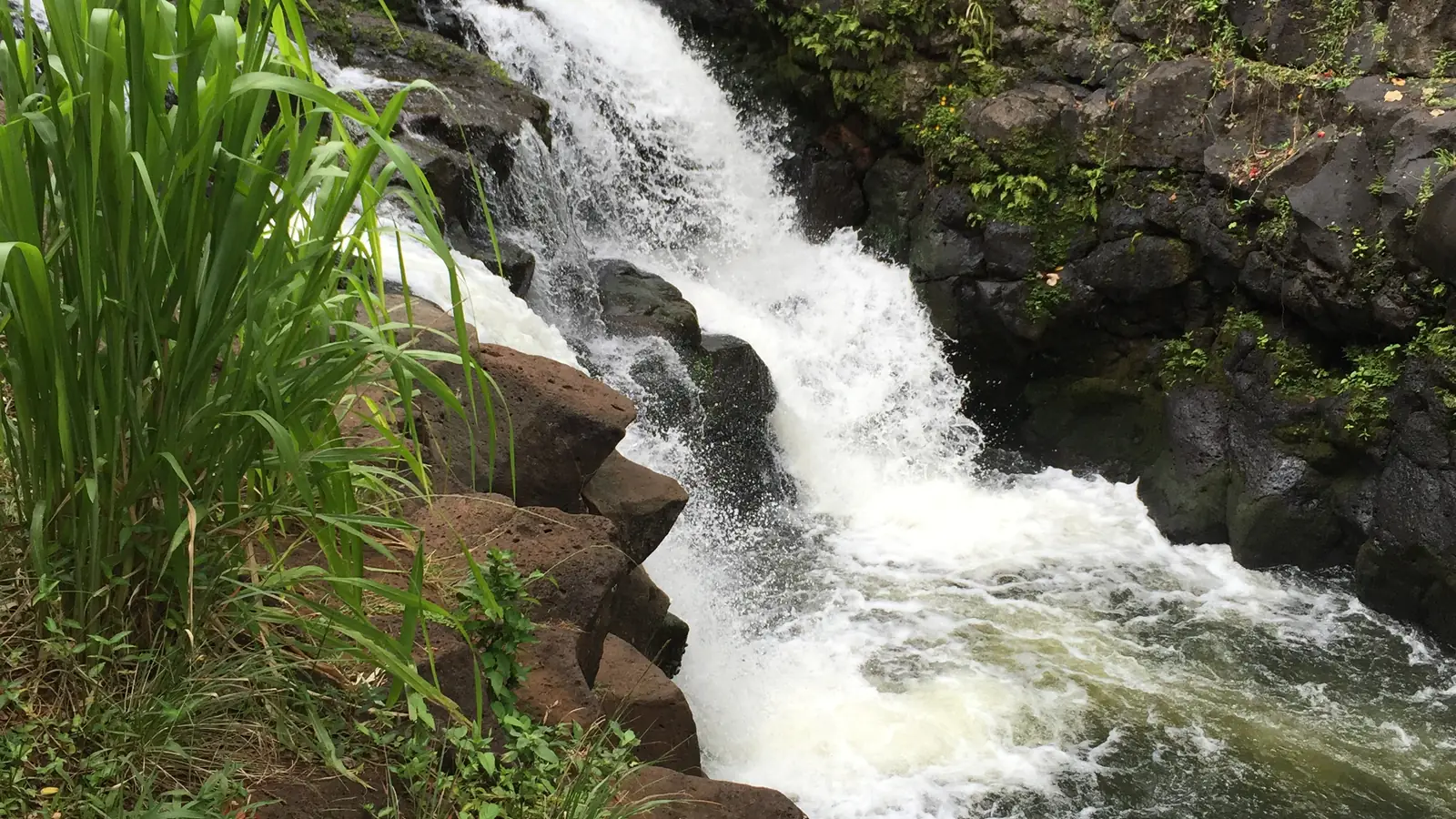 Ho'opi'i Falls on Kapa'a Stream, Kauai – the amber mine of Jurassic Park's Dominican Republic scene