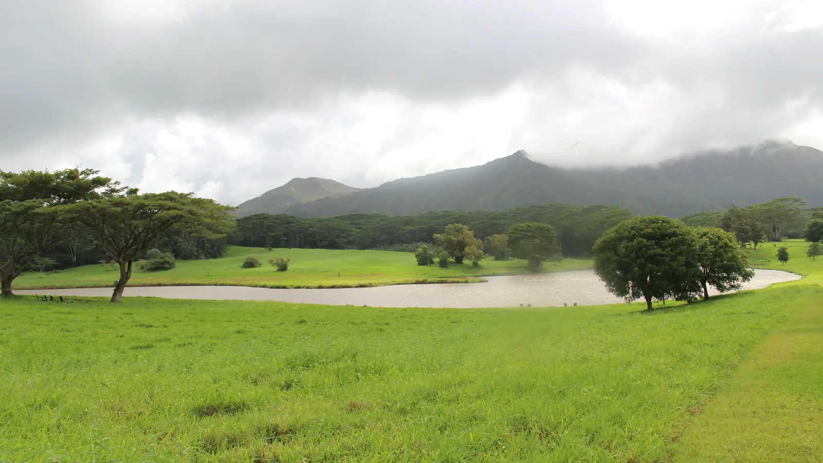 Cattle pasture and forested hills near Kilauea, Kauai – the Kahili Ranch land where the first Brachiosaurus appears in Jurassic Park