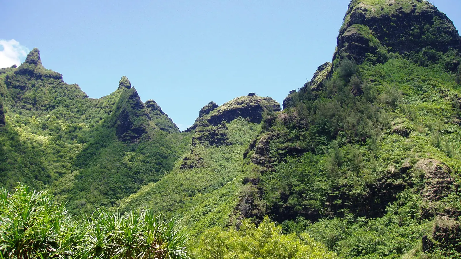 Terraced taro fields and the Makana ridge at Limahuli Garden, Kauai – the valley of the raptor pen in the Jurassic Park prologue