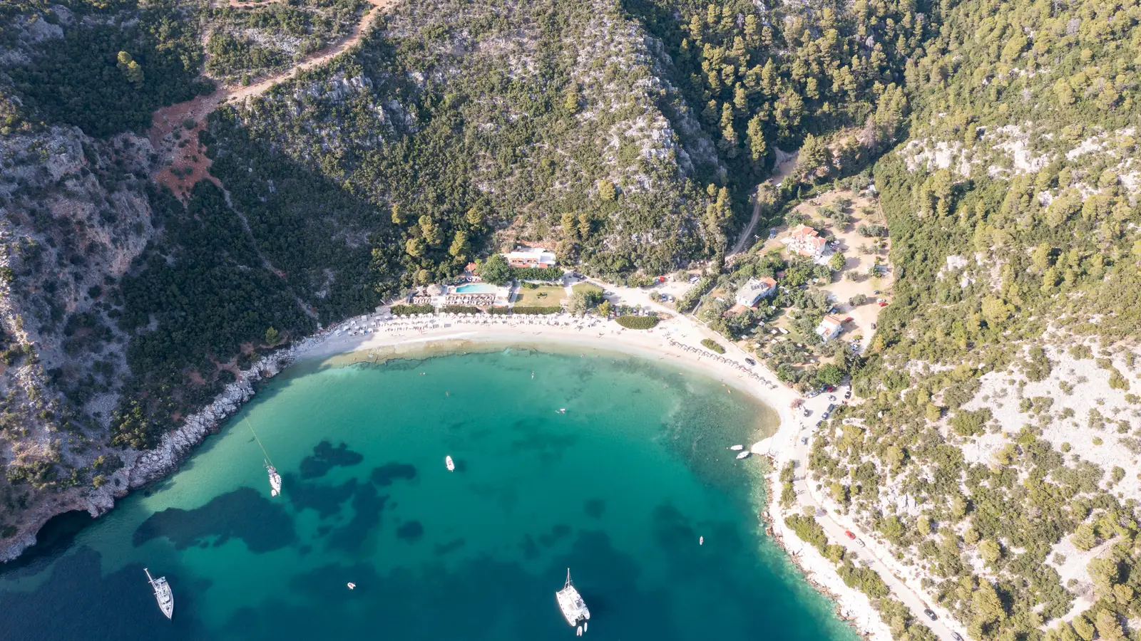 A pine-fringed bay on the coast of Skopelos north of the town