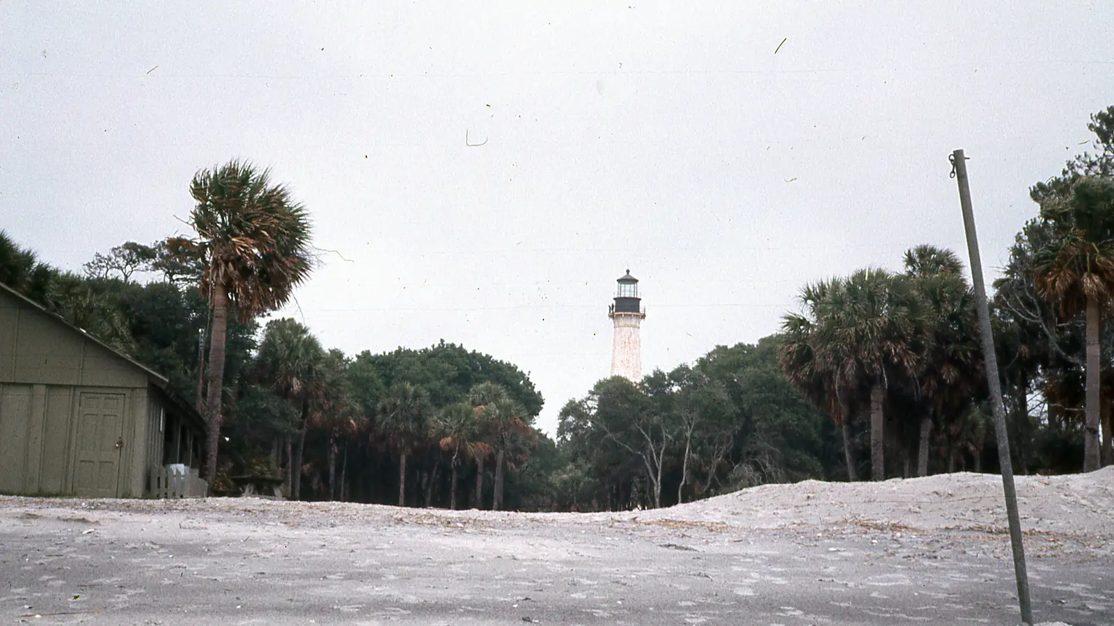The black-and-white Hunting Island Lighthouse rising above the palmettos of the state park – the Redfield Lighthouse of season one.