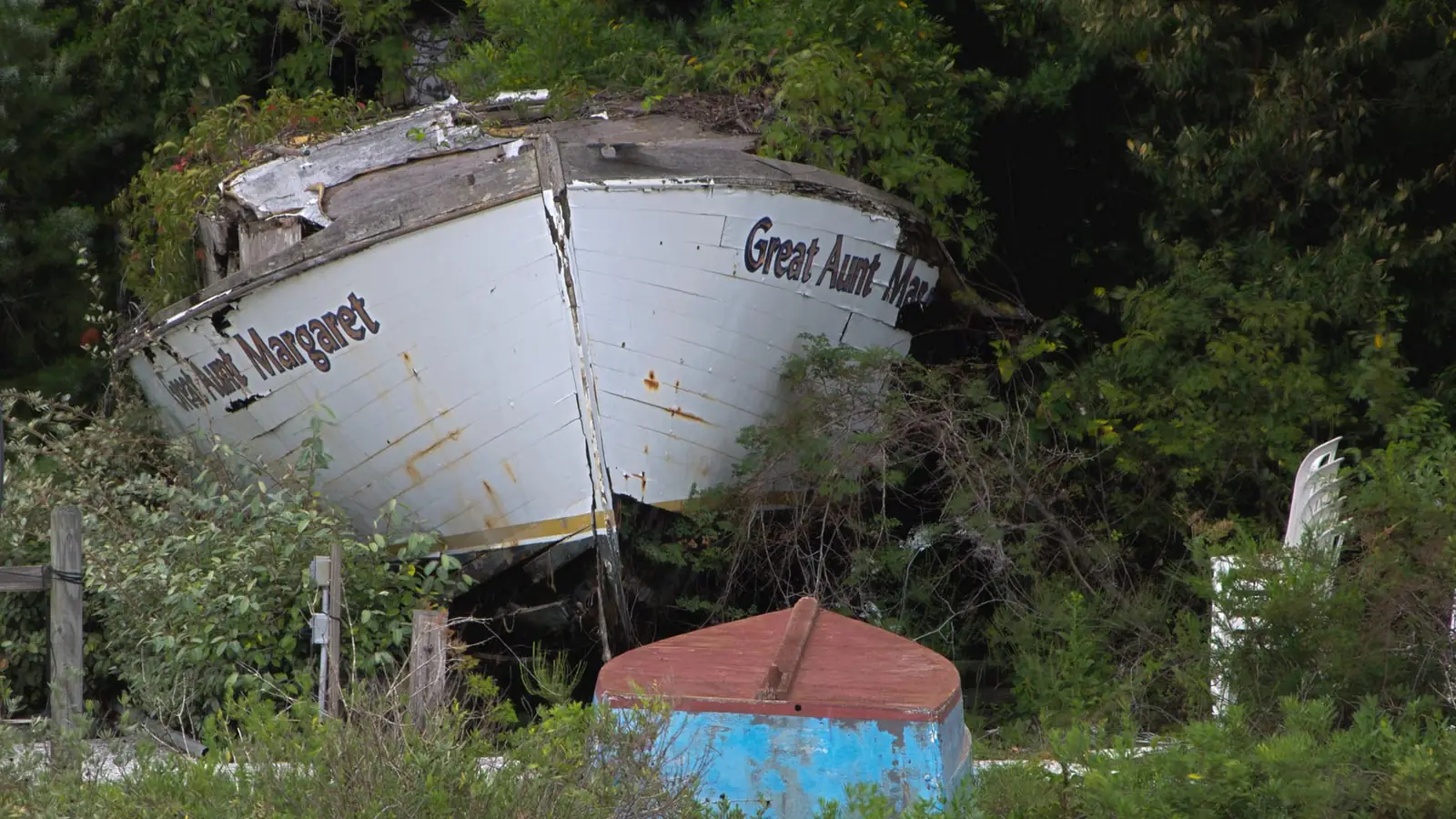 An old wooden hull rotting in the undergrowth by the marsh at Mount Pleasant – not the show's prop, but the setting where the Pogues' wreck stood